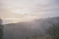 Transparency Through The Haze